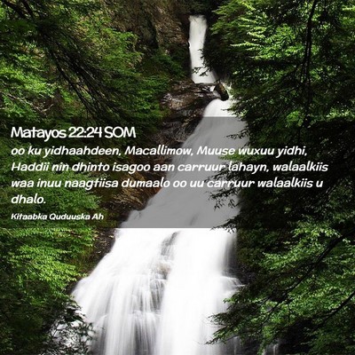 Picture 02 - Matayos 22:24 SOM - oo ku yidhaahdeen, Macallimow, Muuse wuxuu yidhi, - Bible Verse Picture