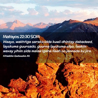 Picture 02 - Matayos 22:30 SOM - Waayo, wakhtiga sarakicidda kuwii dhintay - Bible Verse Picture