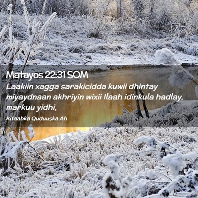 Picture 02 - Matayos 22:31 SOM - Laakiin xagga sarakicidda kuwii dhintay - Bible Verse Picture