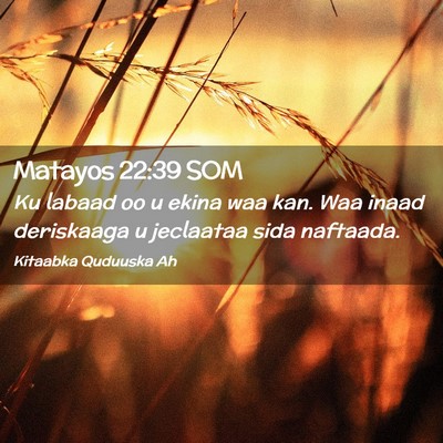 Picture 02 - Matayos 22:39 SOM - Ku labaad oo u ekina waa kan. Waa inaad - Bible Verse Picture