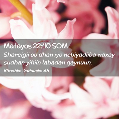 Picture 02 - Matayos 22:40 SOM - Sharcigii oo dhan iyo nebiyadiiba waxay sudhan - Bible Verse Picture