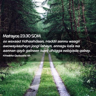 Picture 02 - Matayos 23:30 SOM - oo waxaad tidhaahdaan, Haddii aannu waagii - Bible Verse Picture