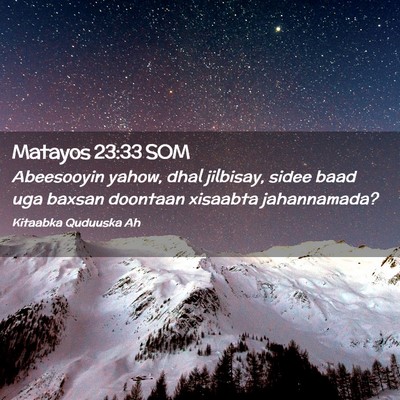 Picture 02 - Matayos 23:33 SOM - Abeesooyin yahow, dhal jilbisay, sidee baad uga - Bible Verse Picture