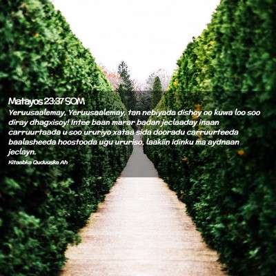 Picture 02 - Matayos 23:37 SOM - Yeruusaalemay, Yeruusaalemay, tan nebiyada dishoy - Bible Verse Picture