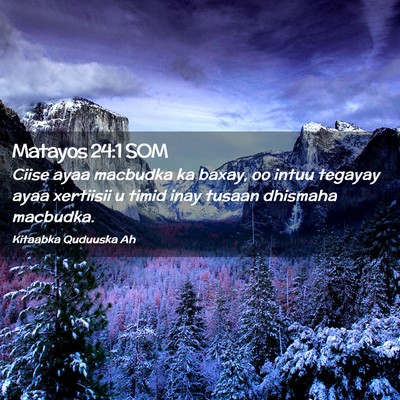 Picture 02 - Matayos 24:1 SOM - Ciise ayaa macbudka ka baxay, oo intuu tegayay - Bible Verse Picture