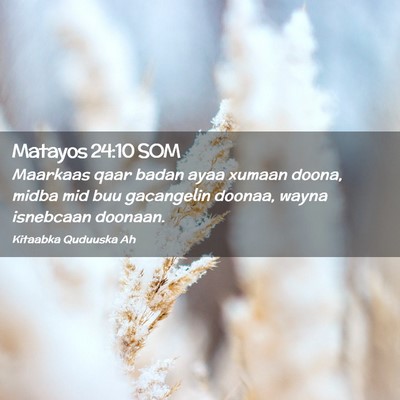 Picture 02 - Matayos 24:10 SOM - Maarkaas qaar badan ayaa xumaan doona, midba mid - Bible Verse Picture