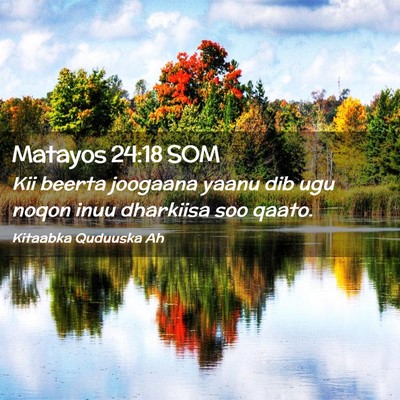 Picture 02 - Matayos 24:18 SOM - Kii beerta joogaana yaanu dib ugu noqon inuu - Bible Verse Picture