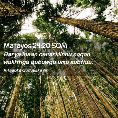 Picture 02 - Matayos 24:20 SOM - Barya inaan cararkiinnu noqon wakhtiga qabowga - Bible Verse Picture