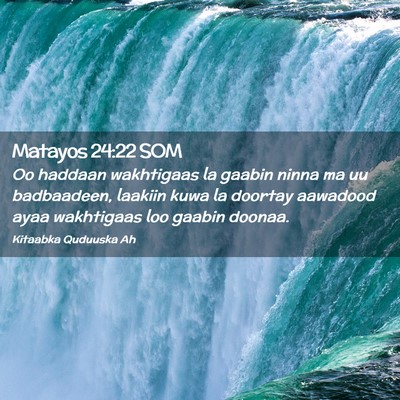 Picture 02 - Matayos 24:22 SOM - Oo haddaan wakhtigaas la gaabin ninna ma uu - Bible Verse Picture