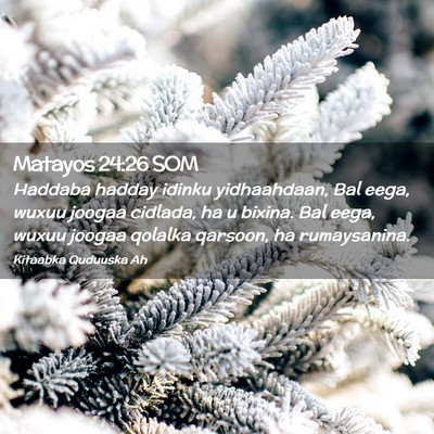 Picture 02 - Matayos 24:26 SOM - Haddaba hadday idinku yidhaahdaan, Bal eega, - Bible Verse Picture