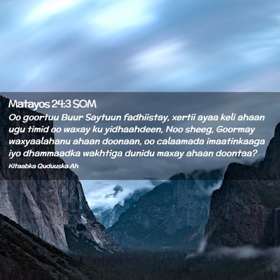 Picture 02 - Matayos 24:3 SOM - Oo goortuu Buur Saytuun fadhiistay, xertii ayaa - Bible Verse Picture