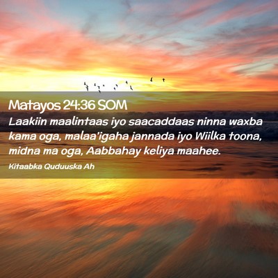 Picture 02 - Matayos 24:36 SOM - Laakiin maalintaas iyo saacaddaas ninna waxba - Bible Verse Picture