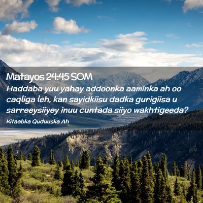 Picture 02 - Matayos 24:45 SOM - Haddaba yuu yahay addoonka aaminka ah oo caqliga - Bible Verse Picture