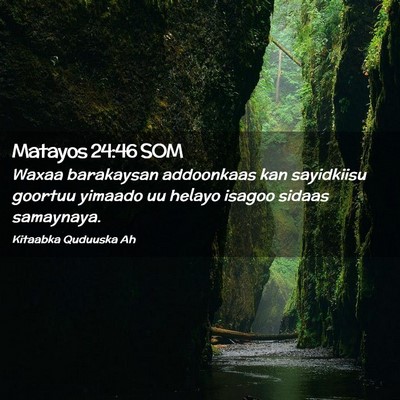 Picture 02 - Matayos 24:46 SOM - Waxaa barakaysan addoonkaas kan sayidkiisu - Bible Verse Picture
