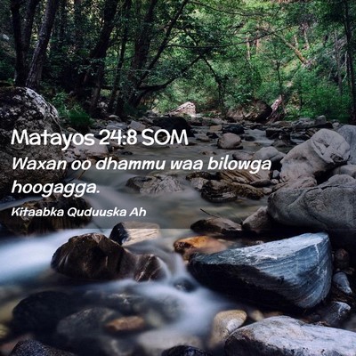 Picture 02 - Matayos 24:8 SOM - Waxan oo dhammu waa bilowga - Bible Verse Picture