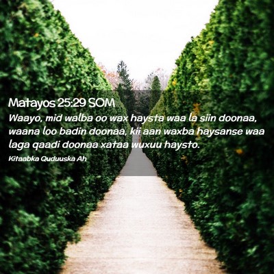 Picture 02 - Matayos 25:29 SOM - Waayo, mid walba oo wax haysta waa la siin - Bible Verse Picture