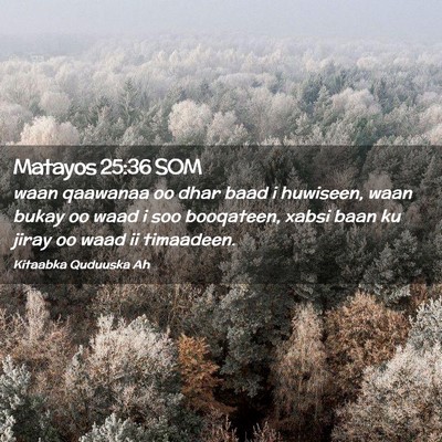 Picture 02 - Matayos 25:36 SOM - waan qaawanaa oo dhar baad i huwiseen, waan bukay - Bible Verse Picture
