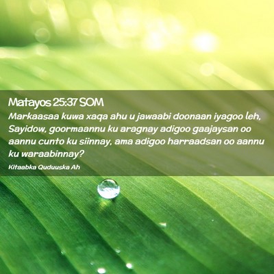 Picture 02 - Matayos 25:37 SOM - Markaasaa kuwa xaqa ahu u jawaabi doonaan iyagoo - Bible Verse Picture