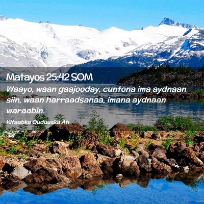 Picture 02 - Matayos 25:42 SOM - Waayo, waan gaajooday, cuntona ima aydnaan siin, - Bible Verse Picture