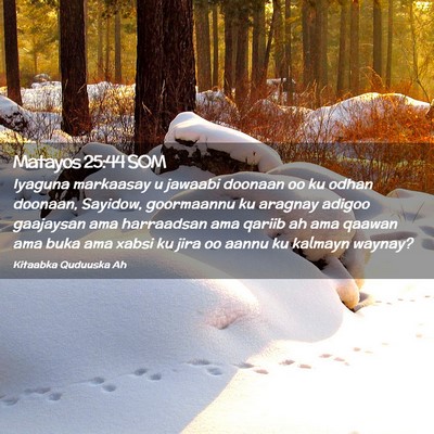 Picture 02 - Matayos 25:44 SOM - Iyaguna markaasay u jawaabi doonaan oo ku odhan - Bible Verse Picture
