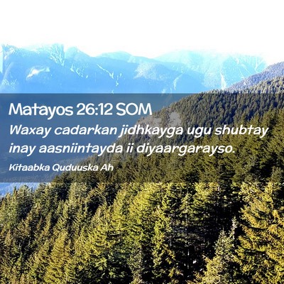 Picture 02 - Matayos 26:12 SOM - Waxay cadarkan jidhkayga ugu shubtay inay - Bible Verse Picture