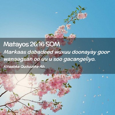 Picture 02 - Matayos 26:16 SOM - Markaas dabadeed wuxuu doonayay goor wanaagsan oo - Bible Verse Picture