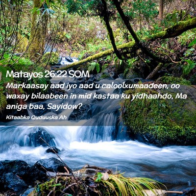 Picture 02 - Matayos 26:22 SOM - Markaasay aad iyo aad u caloolxumaadeen, oo waxay - Bible Verse Picture