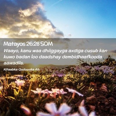 Picture 02 - Matayos 26:28 SOM - Waayo, kanu waa dhiiggayga axdiga cusub kan kuwo - Bible Verse Picture