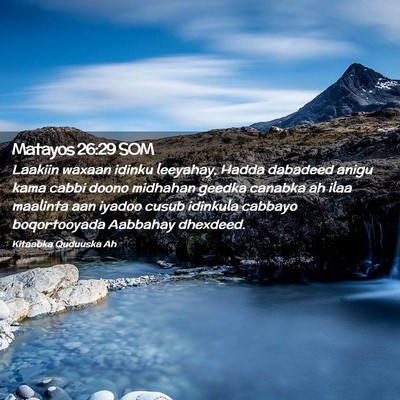 Picture 02 - Matayos 26:29 SOM - Laakiin waxaan idinku leeyahay, Hadda dabadeed - Bible Verse Picture
