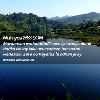 Picture 02 - Matayos 26:3 SOM - Markaasaa wadaaddadii sare iyo waayeelladii dadka - Bible Verse Picture