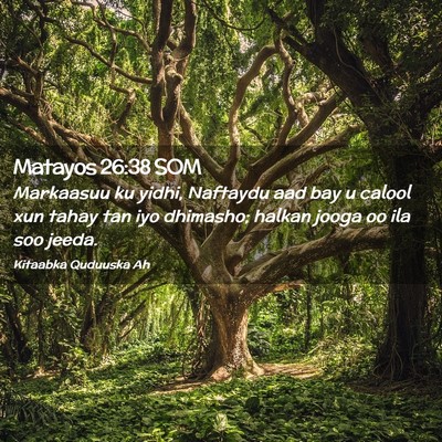 Picture 02 - Matayos 26:38 SOM - Markaasuu ku yidhi, Naftaydu aad bay u calool xun - Bible Verse Picture