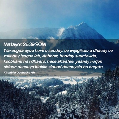 Picture 02 - Matayos 26:39 SOM - Waxoogaa ayuu hore u socday, oo wejigiisuu u - Bible Verse Picture