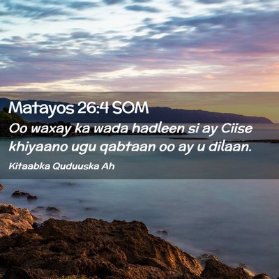 Picture 02 - Matayos 26:4 SOM - Oo waxay ka wada hadleen si ay Ciise khiyaano ugu - Bible Verse Picture