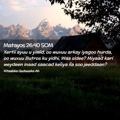 Picture 02 - Matayos 26:40 SOM - Xertii ayuu u yimid, oo wuxuu arkay iyagoo hurda, - Bible Verse Picture