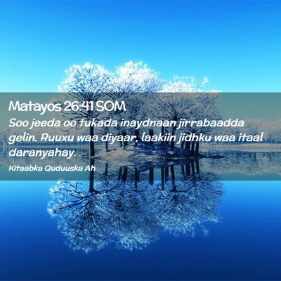 Picture 02 - Matayos 26:41 SOM - Soo jeeda oo tukada inaydnaan jirrabaadda gelin. - Bible Verse Picture