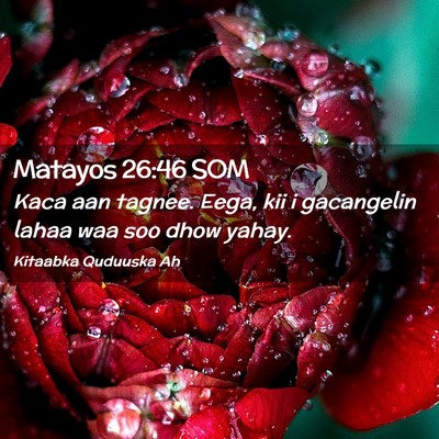 Picture 02 - Matayos 26:46 SOM - Kaca aan tagnee. Eega, kii i gacangelin lahaa waa - Bible Verse Picture