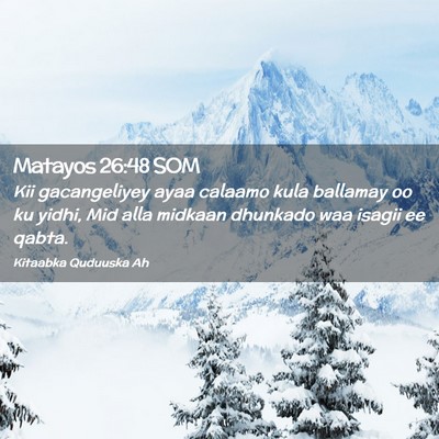 Picture 02 - Matayos 26:48 SOM - Kii gacangeliyey ayaa calaamo kula ballamay oo ku - Bible Verse Picture