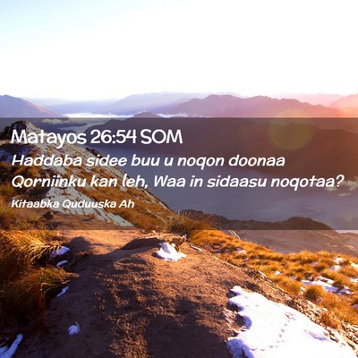 Picture 02 - Matayos 26:54 SOM - Haddaba sidee buu u noqon doonaa Qorniinku kan - Bible Verse Picture