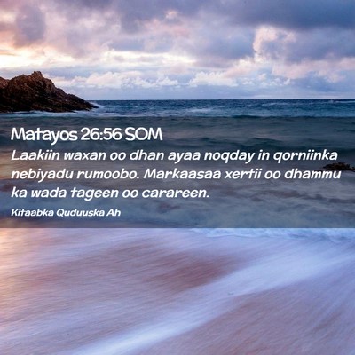 Picture 02 - Matayos 26:56 SOM - Laakiin waxan oo dhan ayaa noqday in qorniinka - Bible Verse Picture