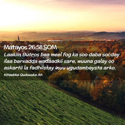 Picture 02 - Matayos 26:58 SOM - Laakiin Butros baa meel fog ka soo daba socday - Bible Verse Picture