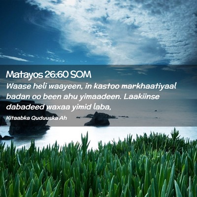 Picture 02 - Matayos 26:60 SOM - Waase heli waayeen, in kastoo markhaatiyaal badan - Bible Verse Picture
