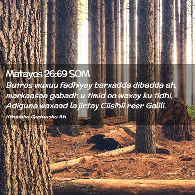 Picture 02 - Matayos 26:69 SOM - Butros wuxuu fadhiyey barxadda dibadda ah, - Bible Verse Picture