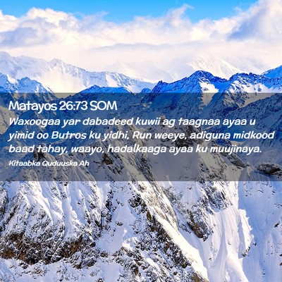 Picture 02 - Matayos 26:73 SOM - Waxoogaa yar dabadeed kuwii ag taagnaa ayaa u - Bible Verse Picture