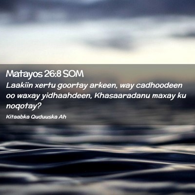 Picture 02 - Matayos 26:8 SOM - Laakiin xertu goortay arkeen, way cadhoodeen oo - Bible Verse Picture