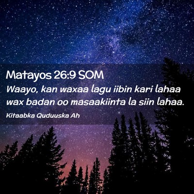 Picture 02 - Matayos 26:9 SOM - Waayo, kan waxaa lagu iibin kari lahaa wax badan - Bible Verse Picture