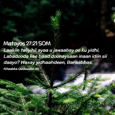 Picture 02 - Matayos 27:21 SOM - Laakiin taliyihii ayaa u jawaabay oo ku yidhi, - Bible Verse Picture