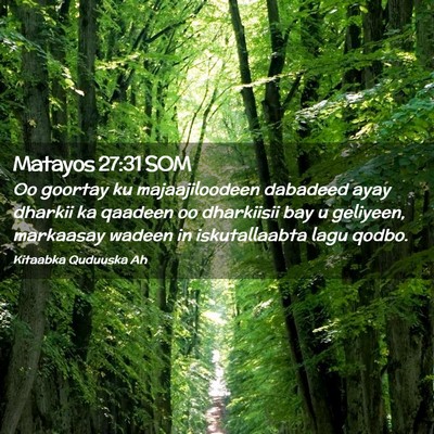 Picture 02 - Matayos 27:31 SOM - Oo goortay ku majaajiloodeen dabadeed ayay - Bible Verse Picture