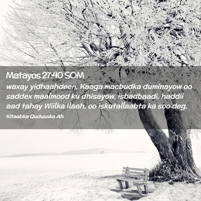 Picture 02 - Matayos 27:40 SOM - waxay yidhaahdeen, Kaaga macbudka duminayow oo - Bible Verse Picture