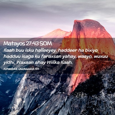 Picture 02 - Matayos 27:43 SOM - Ilaah buu isku halleeyey, haddeer ha bixiyo - Bible Verse Picture