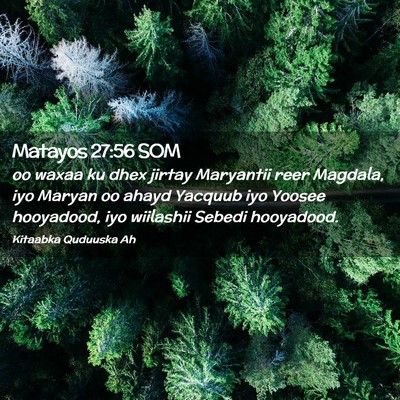 Picture 02 - Matayos 27:56 SOM - oo waxaa ku dhex jirtay Maryantii reer Magdala, - Bible Verse Picture
